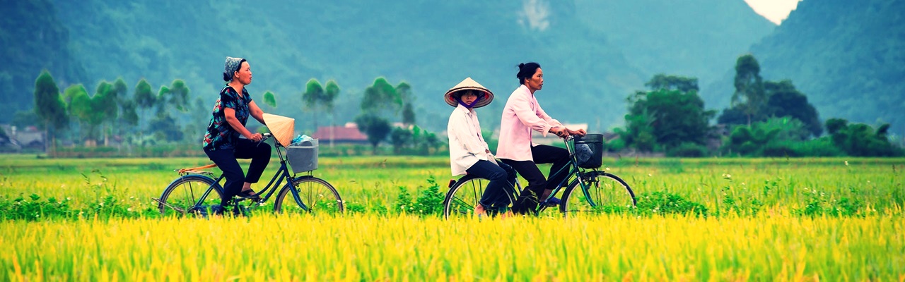 The Best of Vietnam
