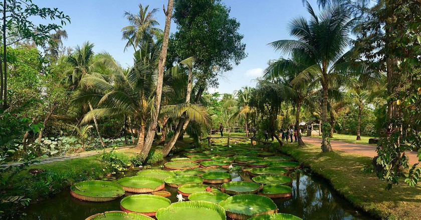Binh Quoi Village