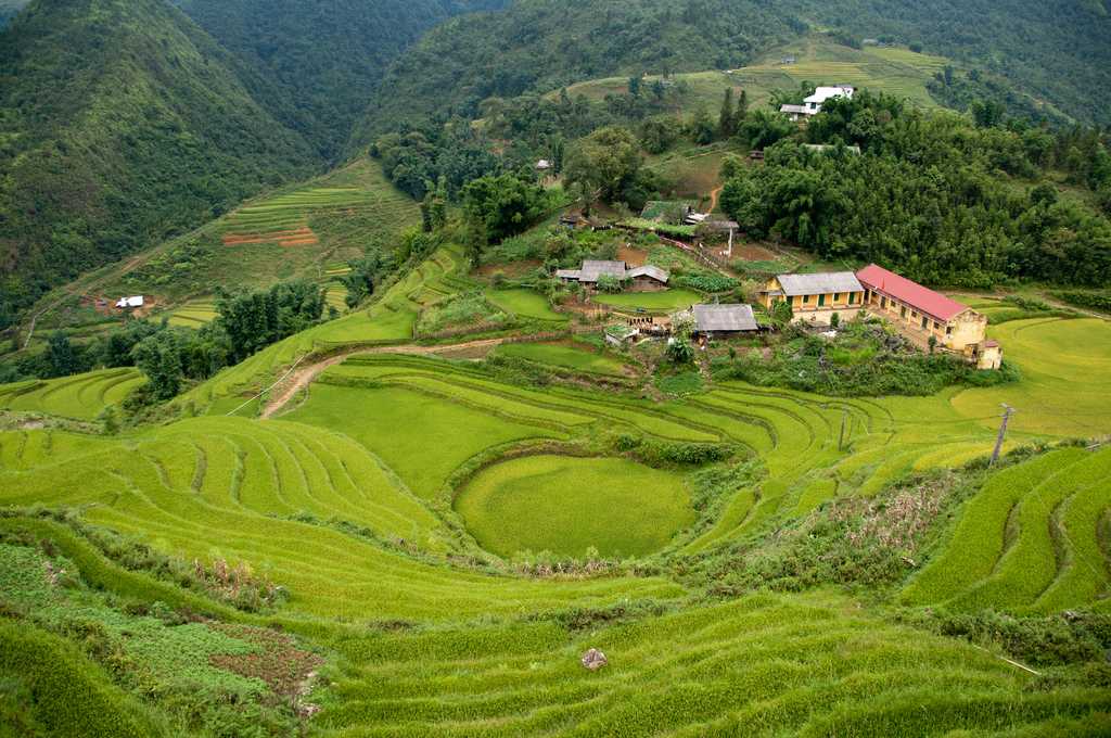 Bask in the green rice terraces of Muong Hoa Valley