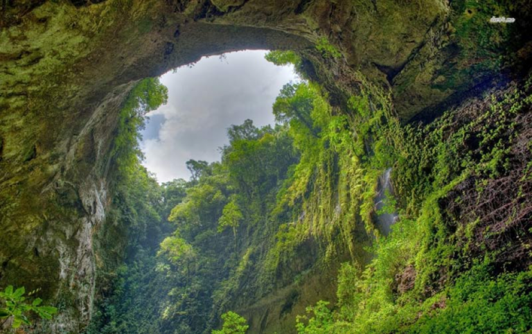 Participate in an awesome expedition trip to explore Son Doong carvern – the biggest cave in the world