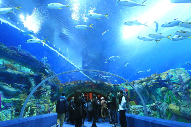 Oceanographic Museum of Vietnam